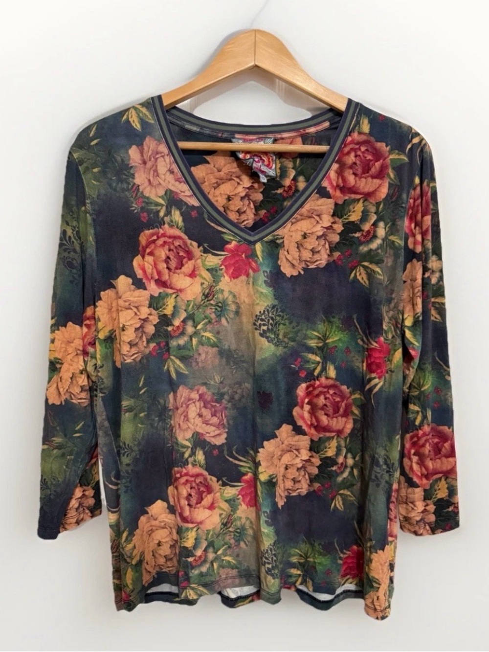 Johnny Was The Janie Favorite 3/4 Sleeve V-Neck Tee Top Catalina Floral Boho L